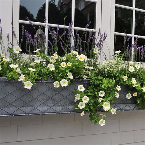 galvanized metal window box|decorative metal window boxes.